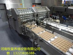 乐玩大厅官网:萧功秦：民粹主义崛起的三种前景